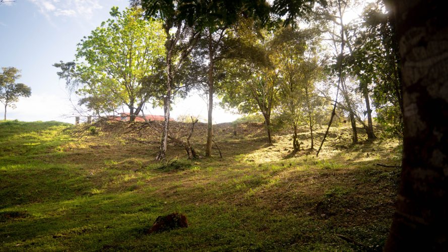 Almendro lot 123 - La Ecovilla