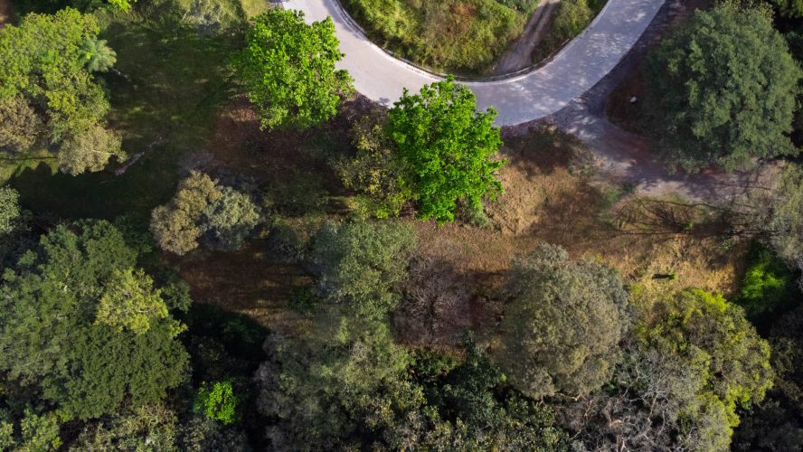 Almendro lot 123 - La Ecovilla