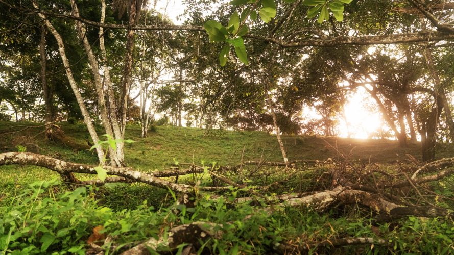 La Ecovilla - Bambú lot 227