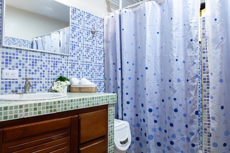 Left side shower and sink