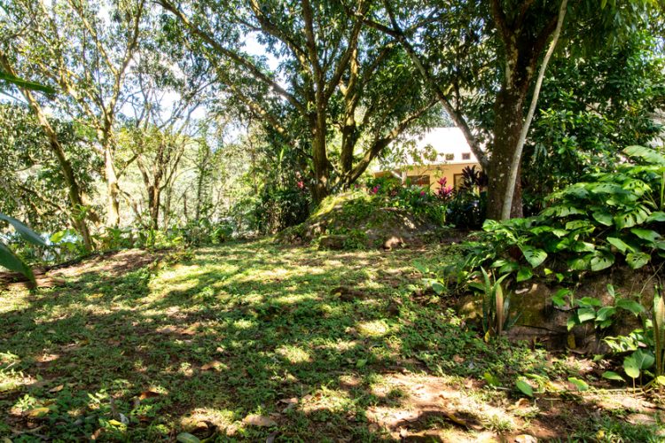 Casa Marañon 29a jardin verde y frondoso