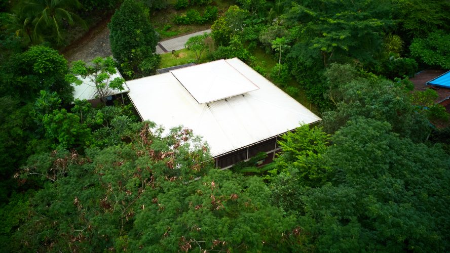 Casa Verde Birds view