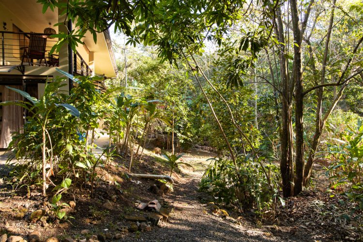 Vista de lado de el jardín