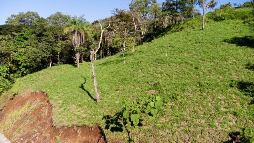 Dalia lot 407 - La Ecovilla