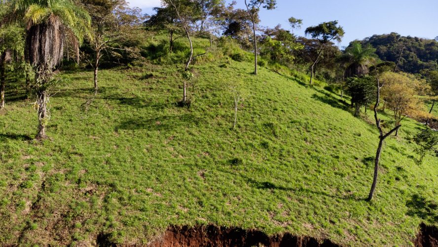 Dalia lot 407 - La Ecovilla