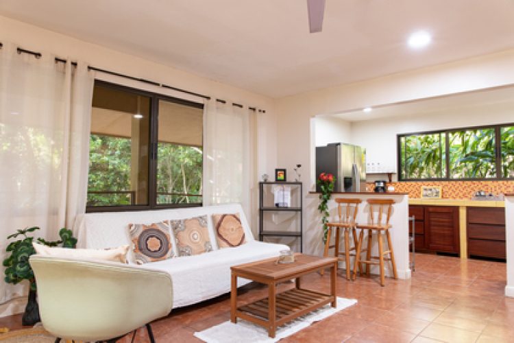 Livingroom and kitchen