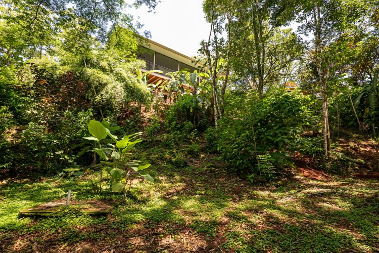 Casa Verde's backyard