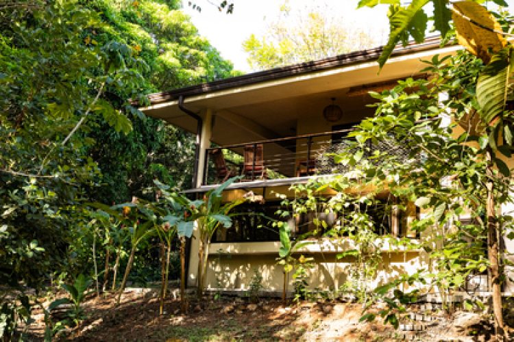 View of the house from the garden