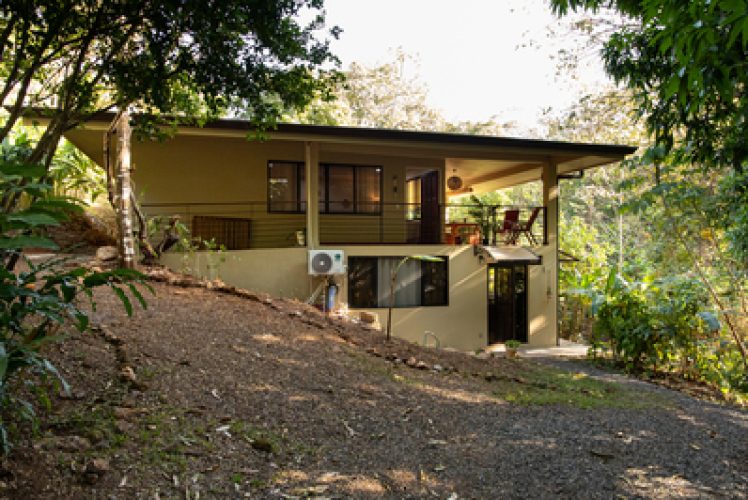View of the house from the mango tree