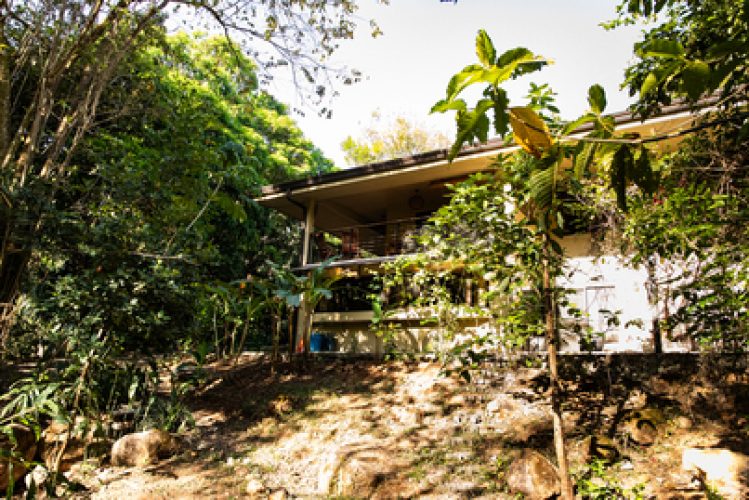 Vista desde el Jardin